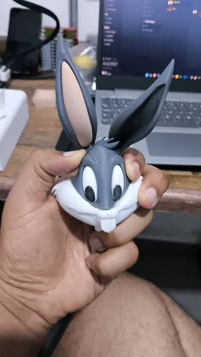 https://makerworld.bblmw.com/makerworld/comment/20260222/670306607/974929a42311c78d.jpg