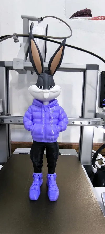 https://makerworld.bblmw.com/makerworld/comment/20260222/670306607/cc38be6793928cc4.jpg