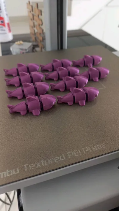 https://makerworld.bblmw.com/makerworld/comment/20260222/67762077/b20975ccb88f8a84.jpg