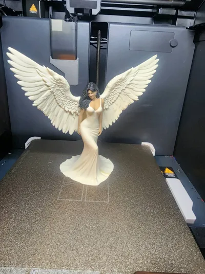 https://makerworld.bblmw.com/makerworld/comment/20260223/1036037342/3992077da592672a.jpg