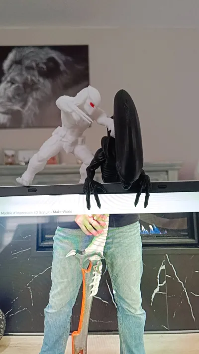 https://makerworld.bblmw.com/makerworld/comment/20260223/1250721279/e3575ba8188c7d29.jpg