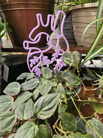 https://makerworld.bblmw.com/makerworld/comment/20260223/1286245988/9feb18e34ac4fc42.jpg
