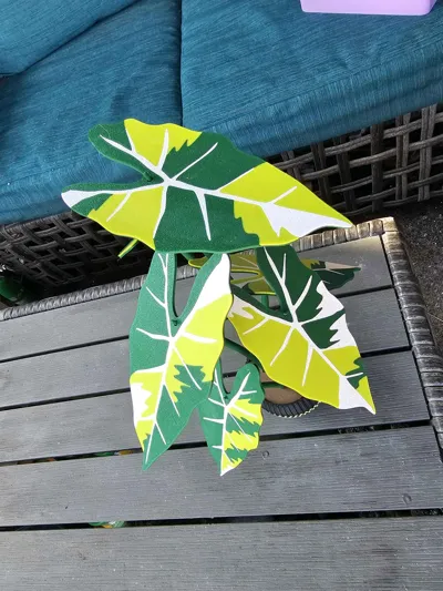https://makerworld.bblmw.com/makerworld/comment/20260223/1286245988/eecff5e402341281.jpg