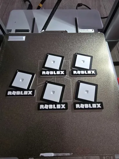 https://makerworld.bblmw.com/makerworld/comment/20260223/2090703152/65e2e9c6df5651ab.jpg