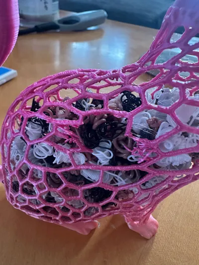 https://makerworld.bblmw.com/makerworld/comment/20260223/2107888615/1bb927ff14299db9.jpg