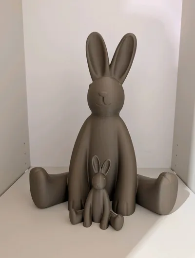 https://makerworld.bblmw.com/makerworld/comment/20260223/2156896028/3e148369bce6af90.jpg