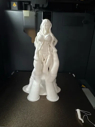 https://makerworld.bblmw.com/makerworld/comment/20260223/2173181066/301551094fc76412.jpg