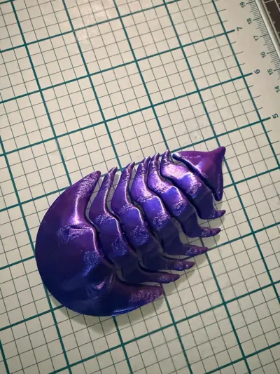 https://makerworld.bblmw.com/makerworld/comment/20260223/2268010357/bf0a4d2c16654720.jpg