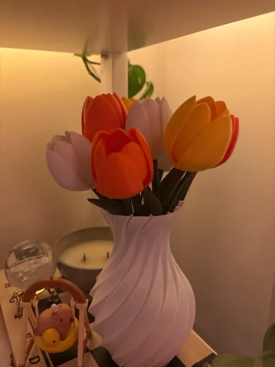 https://makerworld.bblmw.com/makerworld/comment/20260223/2292455579/2952674c8409fd92.jpg