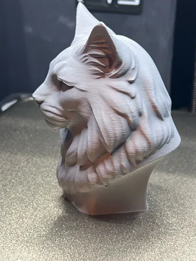 https://makerworld.bblmw.com/makerworld/comment/20260223/245837908/6996ef7de84f7e04.jpg