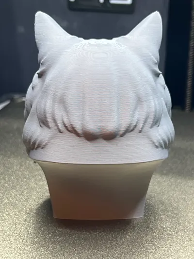 https://makerworld.bblmw.com/makerworld/comment/20260223/245837908/b94ca06d6e4d1d4f.jpg