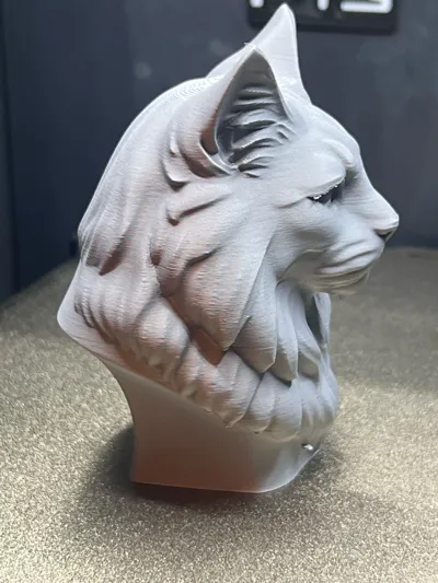 https://makerworld.bblmw.com/makerworld/comment/20260223/245837908/dfb9e8aee534c7da.jpg