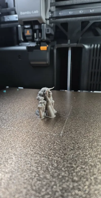 https://makerworld.bblmw.com/makerworld/comment/20260223/2969829984/560a2c62403b0cc1.png