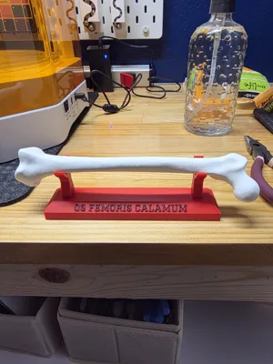 https://makerworld.bblmw.com/makerworld/comment/20260223/3025374925/5db563f2ea5442cb.jpg