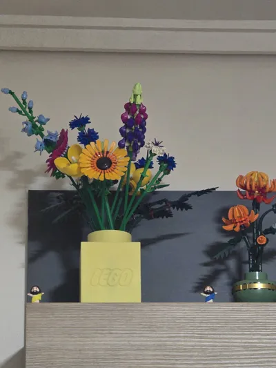 https://makerworld.bblmw.com/makerworld/comment/20260223/3100393522/bd33e9a696d0f8d8.jpg