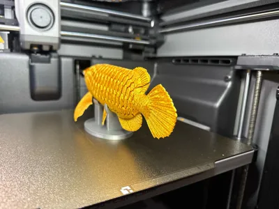 https://makerworld.bblmw.com/makerworld/comment/20260223/3135979674/5eb279d3f93e0e78.jpg