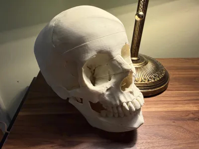 https://makerworld.bblmw.com/makerworld/comment/20260223/316118001/637f169fcf2f60e4.jpg