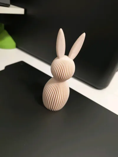 https://makerworld.bblmw.com/makerworld/comment/20260223/3203804721/eb51f7208843c994.jpg