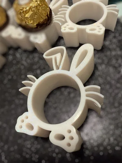 https://makerworld.bblmw.com/makerworld/comment/20260223/3694008915/5754144ee9bf1ac9.jpg