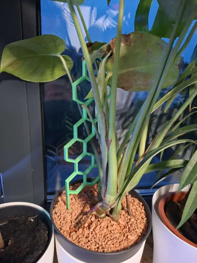 https://makerworld.bblmw.com/makerworld/comment/20260223/3879831434/563f4ac8ad913a96.jpg