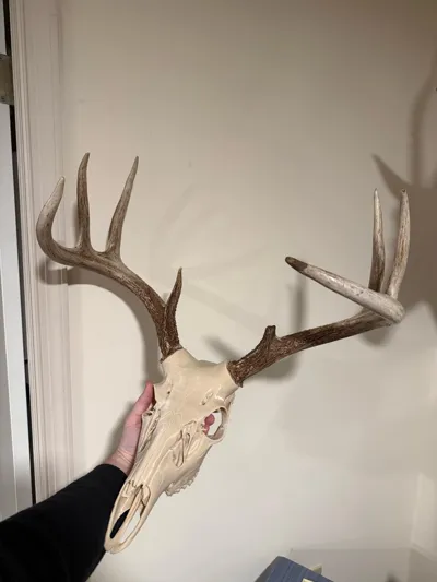 https://makerworld.bblmw.com/makerworld/comment/20260223/3885060428/24f4baa6861e1d9e.jpg