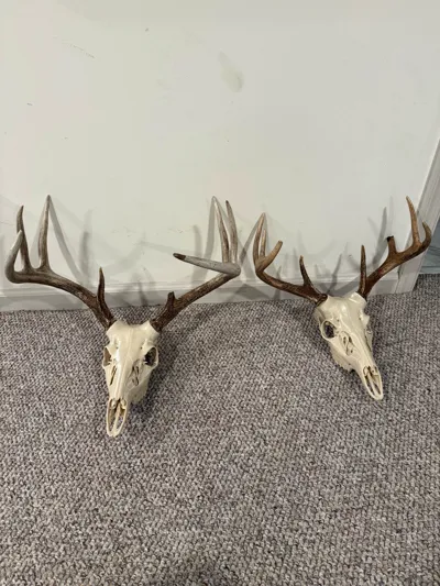 https://makerworld.bblmw.com/makerworld/comment/20260223/3885060428/335f43fd6c2d8486.jpg