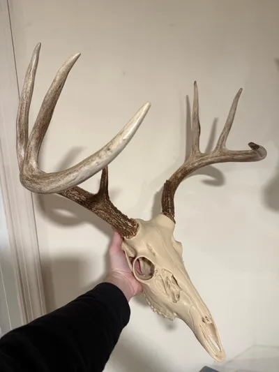 https://makerworld.bblmw.com/makerworld/comment/20260223/3885060428/92dcddea7c377077.jpg