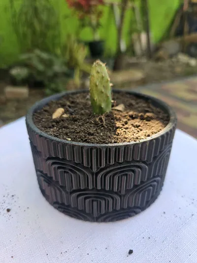 https://makerworld.bblmw.com/makerworld/comment/20260223/4287339912/c497390ed1d42138.jpg