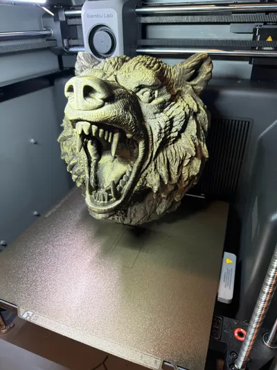 https://makerworld.bblmw.com/makerworld/comment/20260223/629284338/62e12e4565c8391e.jpg