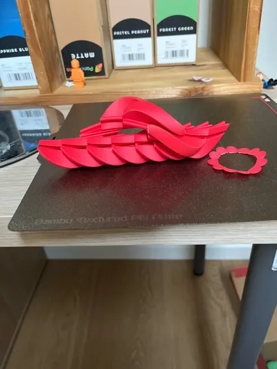 https://makerworld.bblmw.com/makerworld/comment/20260224/1091418291/53e9f3692b4120aa.jpg