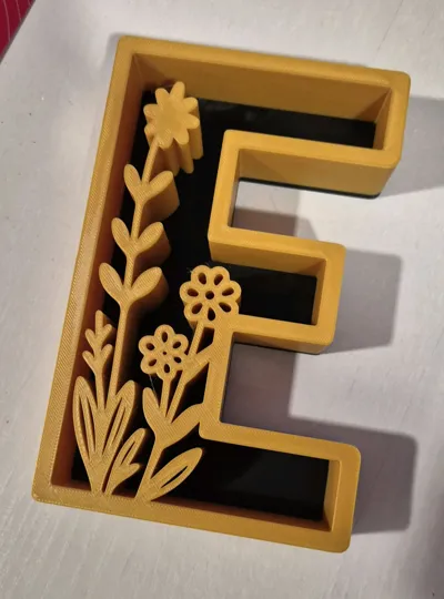 https://makerworld.bblmw.com/makerworld/comment/20260224/1133243520/ed728e0b31331914.jpg