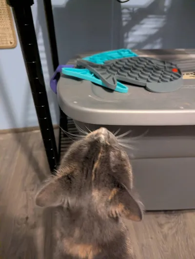 https://makerworld.bblmw.com/makerworld/comment/20260224/1456838799/a9595c557b11ed2a.jpg