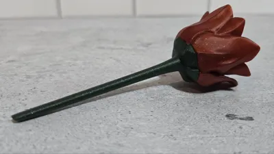 https://makerworld.bblmw.com/makerworld/comment/20260224/228375109/4e2f5460b4c66ffa.jpg
