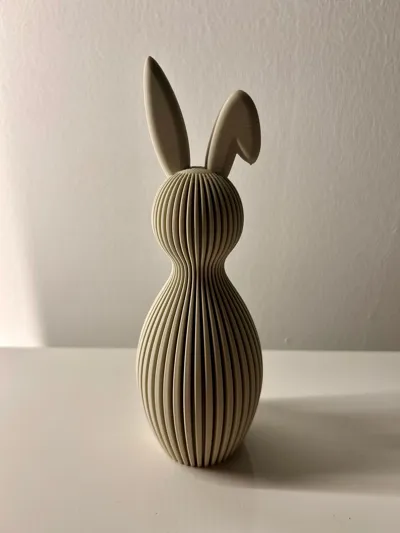 https://makerworld.bblmw.com/makerworld/comment/20260224/2438649979/a2994942155bbc0a.jpg