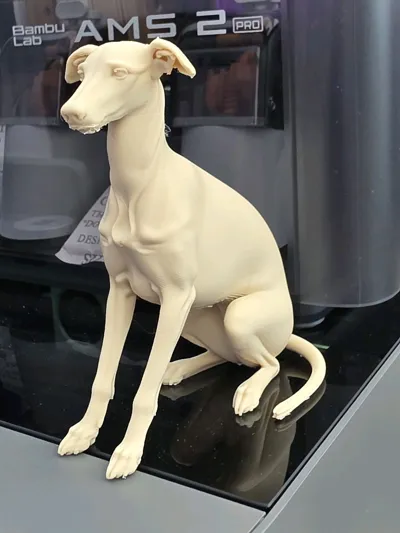 https://makerworld.bblmw.com/makerworld/comment/20260224/2517321069/4f673d9eb6206f77.jpg