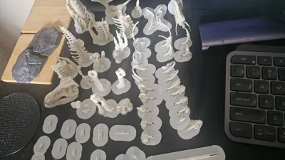 https://makerworld.bblmw.com/makerworld/comment/20260224/2616269477/3542c68610075909.jpg