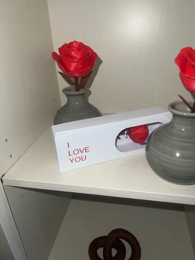 https://makerworld.bblmw.com/makerworld/comment/20260224/2655910266/c2de1249323ec3df.jpg