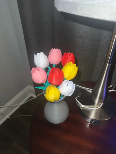 https://makerworld.bblmw.com/makerworld/comment/20260224/2655910266/eb1285a5bdbca206.jpg