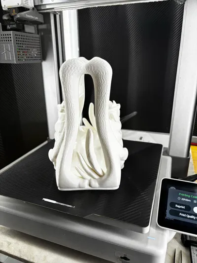 https://makerworld.bblmw.com/makerworld/comment/20260224/2918967352/8775a3a5a42c35ff.jpg
