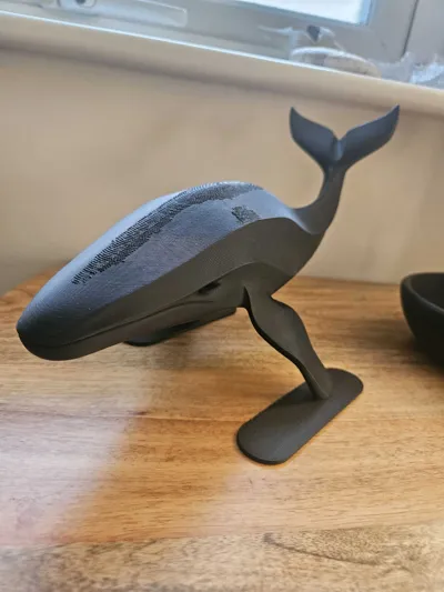 https://makerworld.bblmw.com/makerworld/comment/20260224/2958031181/c3cf0341df6c8134.jpg