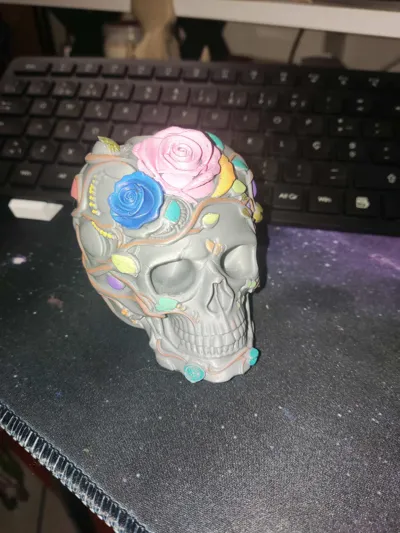 https://makerworld.bblmw.com/makerworld/comment/20260224/3205752701/c7346835149d716c.jpg