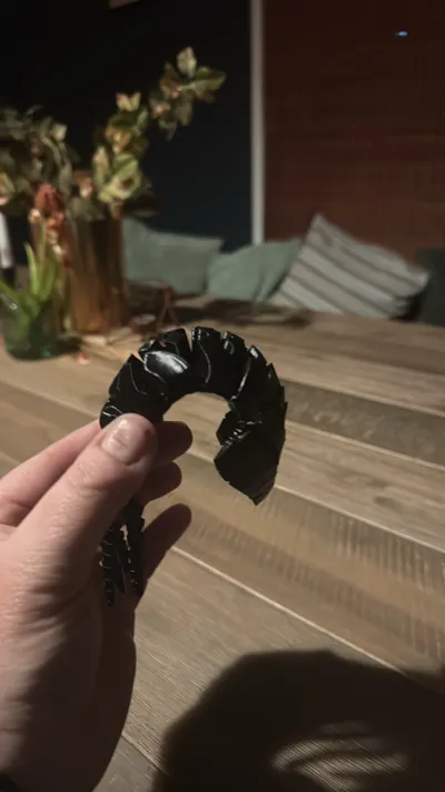 https://makerworld.bblmw.com/makerworld/comment/20260224/3434861200/8525f6da072ab435.jpg