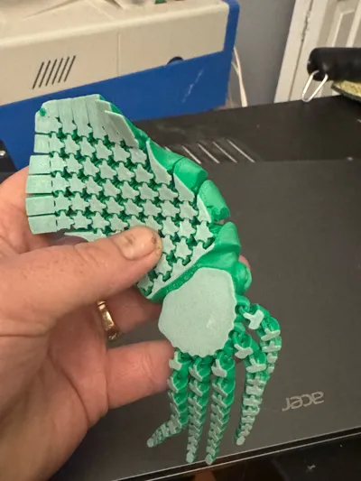 https://makerworld.bblmw.com/makerworld/comment/20260224/3434861200/b98c87263b745943.jpg