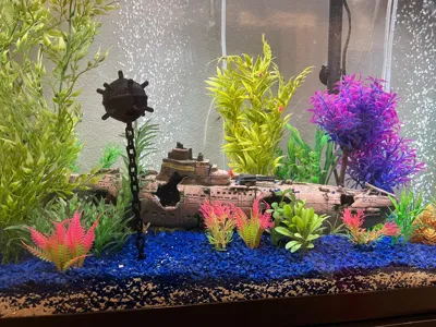 https://makerworld.bblmw.com/makerworld/comment/20260224/3843587183/5a30b7223eeef4fd.jpg