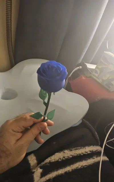 https://makerworld.bblmw.com/makerworld/comment/20260224/3912609079/cd09474d7e8773ba.jpg