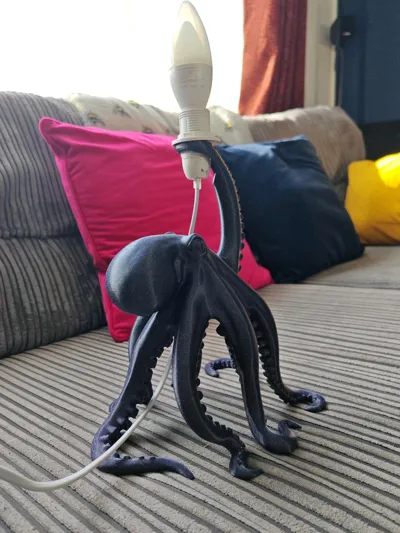 https://makerworld.bblmw.com/makerworld/comment/20260224/3914749148/7c50041c95975974.jpg