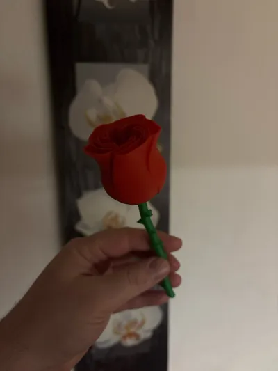 https://makerworld.bblmw.com/makerworld/comment/20260224/3995153375/1bf461b3dde712e1.jpg