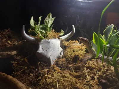 https://makerworld.bblmw.com/makerworld/comment/20260224/4062628366/a63dbcbe436db071.jpg