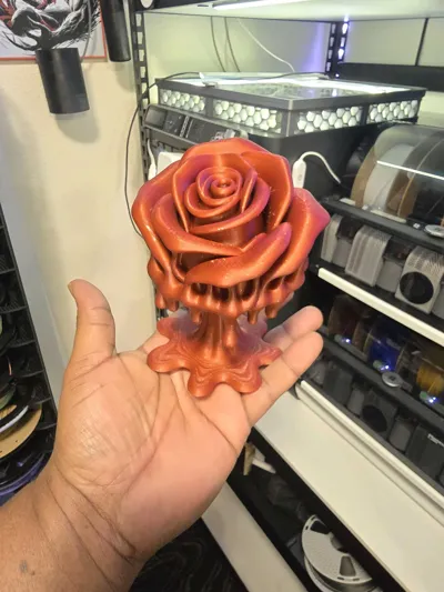 https://makerworld.bblmw.com/makerworld/comment/20260224/4135077943/59f5b92002dfff6f.jpg