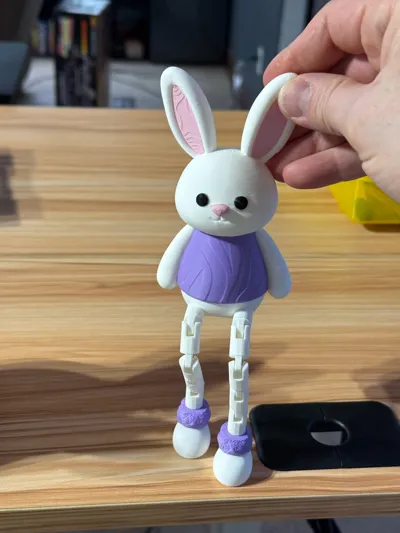 https://makerworld.bblmw.com/makerworld/comment/20260224/529165447/86490824c772e87f.jpg
